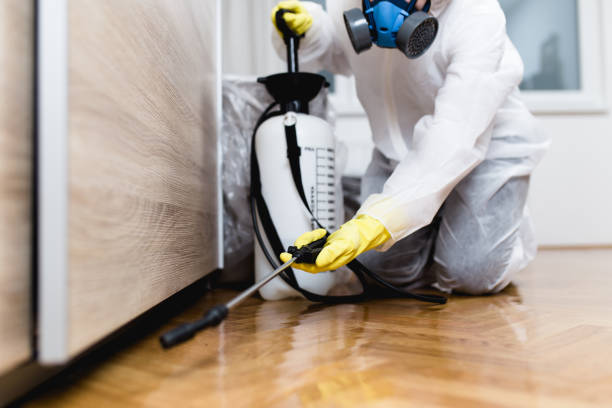 Best Wasp Removal Services  in Leavenworth, KS