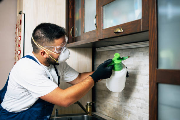 Best Residential Pest Control  in Leavenworth, KS