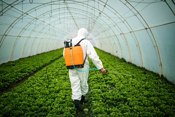 Best Best Pest Control Companies  in Leavenworth, KS