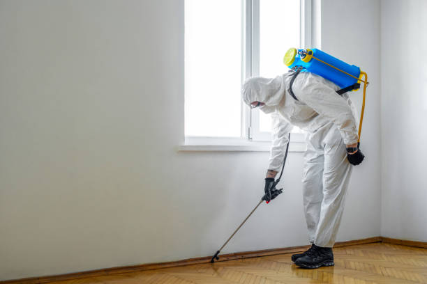 Best Pest Control Near Me  in Leavenworth, KS
