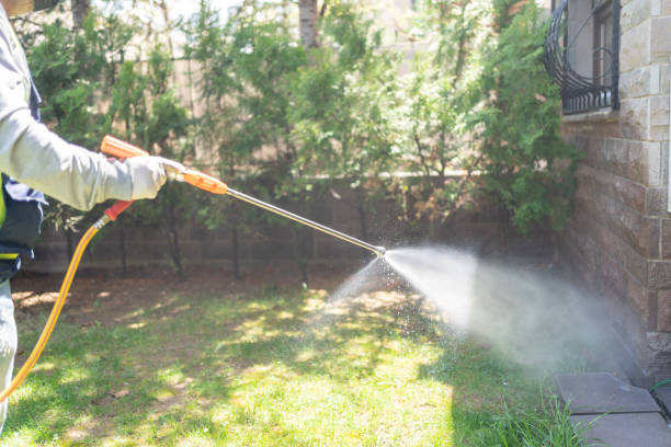 Wasp Removal Services in Leavenworth, KS